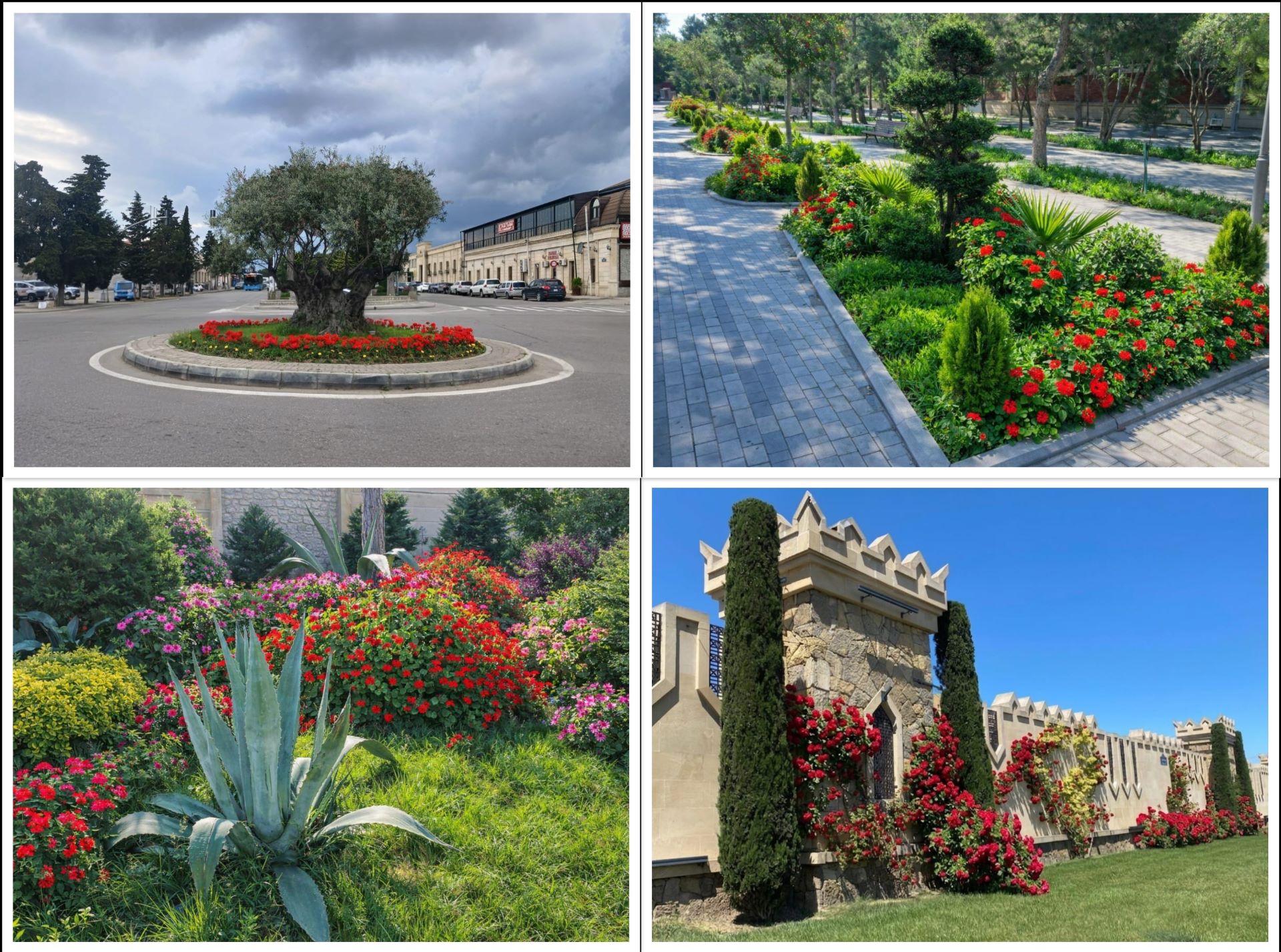 collage1.jpg