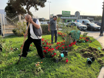 Xəzər rayonunda 2024-cü ilin "Yaşıl dünya naminə həmrəylik ili" elan edilməsi ilə əlaqədar olaraq yeni yaşıllıq zolaqlarının salınması və ətraf mühitin mühafizəsi istiqamətində işlər davam etdirilir