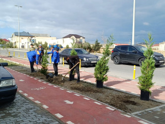 Xəzər rayonunda “Yaşıl dünya naminə həmrəylik ili” çərçivəsində ağacəkmə tədbirləri davam etdirilir