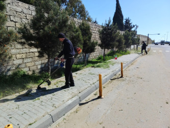 Xəzər rayonunda növbəti genişmiqyaslı təmizlik və abadlıq işləri həyata keçirilib