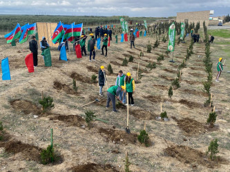 Xəzər rayonunda növbəti ağacəkmə aksiyası keçirilib