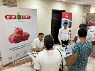 Xəzər rayonunda növbəti əmək yarmarkası keçirilmişdir