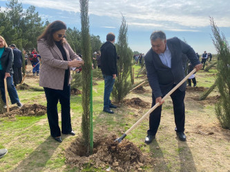 Xəzər rayonunda növbəti ağacəkmə aksiyası keçirilib