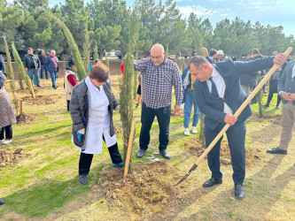 Xəzər rayonunda növbəti ağacəkmə aksiyası keçirilib