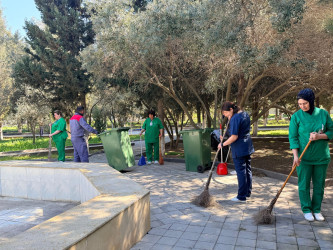 Xəzər rayonunda növbəti ümumrayon iməcliyi keçirilib