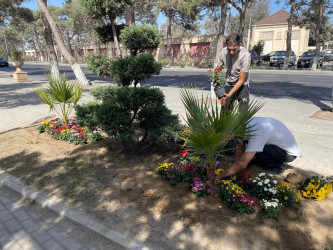 Xəzər rayonunda 2024-cü ilin "Yaşıl dünya naminə həmrəylik ili" elan edilməsi ilə əlaqədar olaraq yeni yaşıllıq zolaqlarının salınması və ətraf mühitin mühafizəsi istiqamətində işlər davam etdirilir