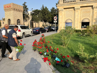 Xəzər rayonunda 2024-cü ilin "Yaşıl dünya naminə həmrəylik ili" elan edilməsi ilə əlaqədar olaraq yeni yaşıllıq zolaqlarının salınması və ətraf mühitin mühafizəsi istiqamətində işlər davam etdirilir