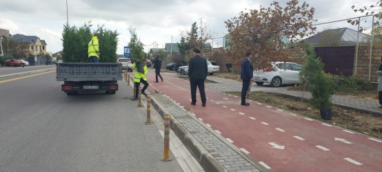 Xəzər rayonunda “Yaşıl dünya naminə həmrəylik ili” çərçivəsində ağacəkmə tədbirləri davam etdirilir