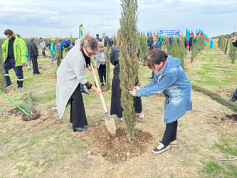 Xəzər rayonunda növbəti ağacəkmə aksiyası keçirilib