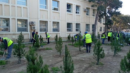 Xəzər rayonunda növbəti ümumrayon iməcliyi keçirilib