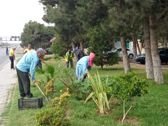 Xəzər rayonunda 2024-cü ilin "Yaşıl dünya naminə həmrəylik ili" elan edilməsi ilə əlaqədar olaraq yeni yaşıllıq zolaqlarının salınması və ətraf mühitin mühafizəsi istiqamətində işlər davam etdirilir