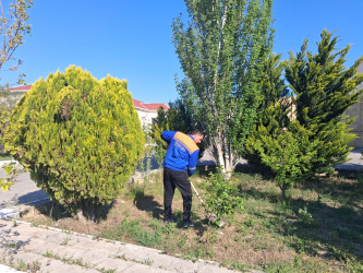 Xəzər rayonunda növbəti genişmiqyaslı təmizlik və abadlıq işləri həyata keçirilib