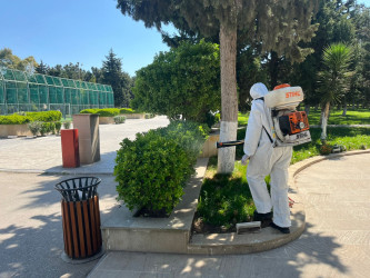 Xəzər rayonunda növbəti genişmiqyaslı ümumrayon iməcliyi keçirilib