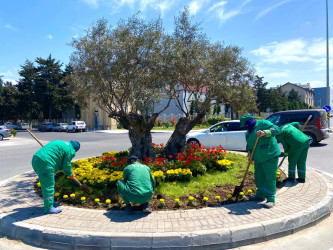 Xəzər rayonunda “WUF13” – Ümumdünya Şəhərsalma Forumu çərçivəsində abadlıq və yaşıllaşdırma tədbirləri davam etdirilir