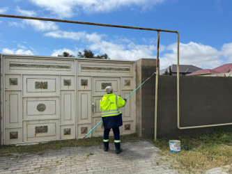 Xəzər rayonunda “WUF13” – Ümumdünya Şəhərsalma Forumu çərçivəsində abadlıq və yaşıllaşdırma tədbirləri davam etdirilir