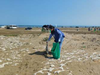 Növbəti genişmiqyaslı ümumrayon iməcliyi keçirilib