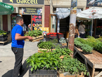 Xəzər rayonunda qanunsuz küçə ticarətinin qarşısının alınması məqsədilə reydlər keçirilib