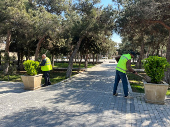 Xəzər rayonunda növbəti genişmiqyaslı təmizlik və abadlıq işləri həyata keçirilib