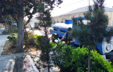 Xəzər rayonunda növbəti ümumrayon iməcliyi keçirilib