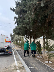 Xəzər rayonunda növbəti ümumrayon iməcliyi keçirilib