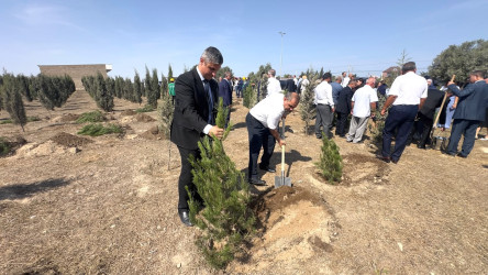 Xəzər rayonunda 27 sentyabr- Anım gününə həsr olunmuş ağacəkmə aksiyası keçirilib
