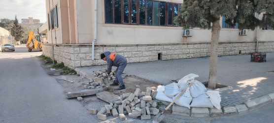 Xəzər rayonunda “WUF13” – Ümumdünya Şəhərsalma Forumu çərçivəsində abadlıq və yaşıllaşdırma tədbirləri davam etdirilir