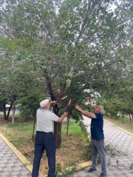 Rayonun bütün qəsəbələri üzrə növbəti  iməclik həyata  keçirilib