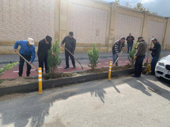 Xəzər rayonunda “Yaşıl dünya naminə həmrəylik ili” çərçivəsində ağacəkmə tədbirləri davam etdirilir