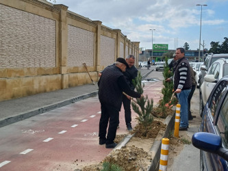 Xəzər rayonunda “Yaşıl dünya naminə həmrəylik ili” çərçivəsində ağacəkmə tədbirləri davam etdirilir