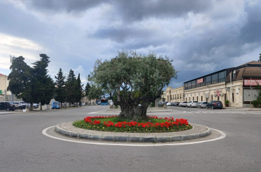 Xəzər rayonunun yaşıl guşələri