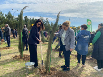 Xəzər rayonunda növbəti ağacəkmə aksiyası keçirilib