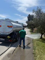Xəzər rayonunda “WUF13” – Ümumdünya Şəhərsalma Forumu çərçivəsində abadlıq və yaşıllaşdırma tədbirləri davam etdirilir