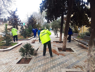 Xəzər rayonunda növbəti ümumrayon iməcliyi keçirilib