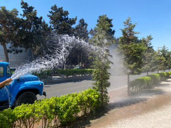 Xəzər rayonunda növbəti genişmiqyaslı iməclik keçirilib
