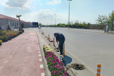 Xəzər rayonunda növbəti genişmiqyaslı təmizlik və abadlıq işləri həyata keçirilib