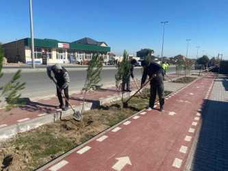 Xəzər rayonunda abadlıq-quruculuq və yaşıllaşdırma işləri davam etdirilir