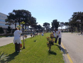 Xəzər rayonunda növbəti ümumrayon iməcliyi keçirilib