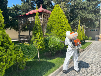 Xəzər rayonunda növbəti genişmiqyaslı ümumrayon iməcliyi keçirilib