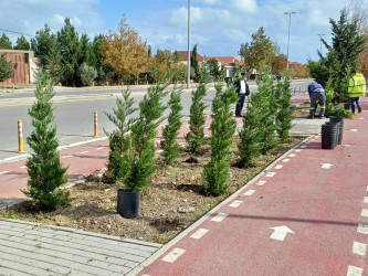 Xəzər rayonunda “WUF13” – Ümumdünya Şəhərsalma Forumu çərçivəsində abadlıq və yaşıllaşdırma tədbirləri davam etdirilir