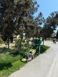 Xəzər rayonunda növbəti genişmiqyaslı təmizlik və abadlıq işləri həyata keçirilib