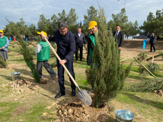 Xəzər rayonunda növbəti ağacəkmə aksiyası keçirilib