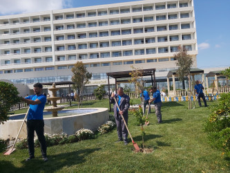 Xəzər rayonunda növbəti genişmiqyaslı ümumrayon iməcliyi keçirilib