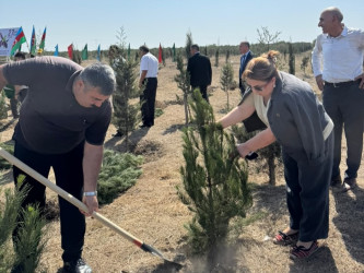 Xəzər rayonunda 27 sentyabr- Anım gününə həsr olunmuş ağacəkmə aksiyası keçirilib