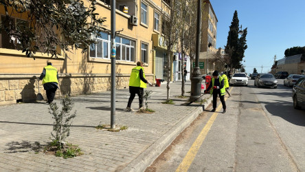 Xəzər rayonunda növbəti genişmiqyaslı təmizlik və abadlıq işləri həyata keçirilib