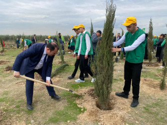 Xəzər rayonunda növbəti ağacəkmə aksiyası keçirilib