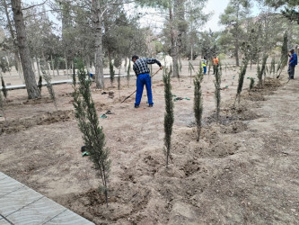 Xəzər rayonunda abadlıq-quruculuq və təmizlik işləri davam etdirilir