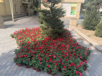 Xəzər rayonunda abadlıq-quruculuq və təmizlik işləri davam etdirilir