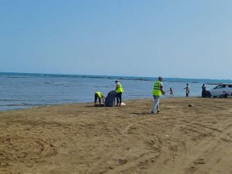 Növbəti genişmiqyaslı ümumrayon iməcliyi keçirilib