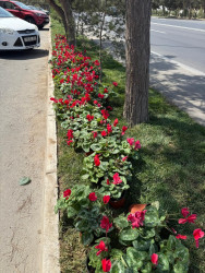 Xəzər rayonunda abadlıq-quruculuq və təmizlik işləri davam etdirilir