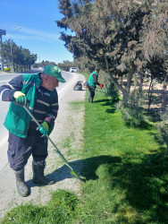 Xəzər rayonunda növbəti genişmiqyaslı təmizlik və abadlıq işləri həyata keçirilib